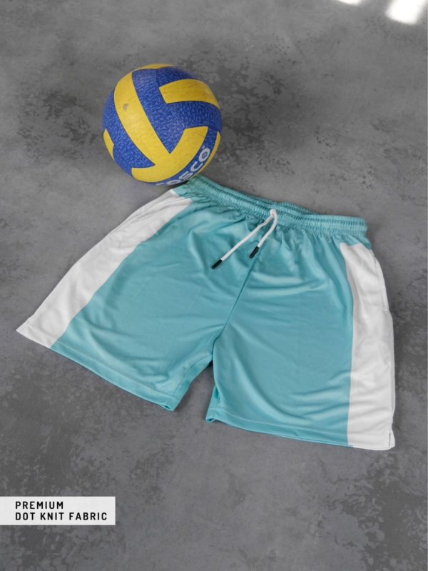 Aoba Johsai Shorts